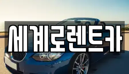 경기도 안산시 단원구 신길동 렌트카 전문 세계로렌트카
