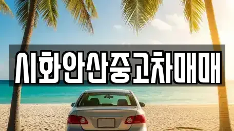경기도 안산시 단원구 신길동 중고차 전문 시화안산중고차매매