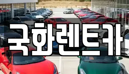 경기도 양주시 덕계동 렌트카 전문 국화렌트카