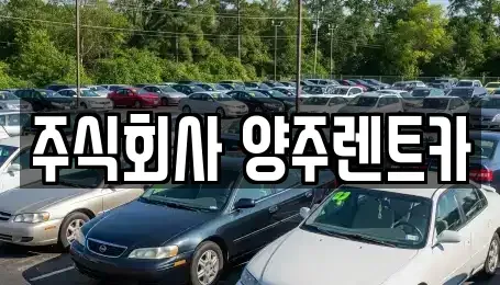경기도 양주시 덕계동 렌트카 전문 주식회사 양주렌트카