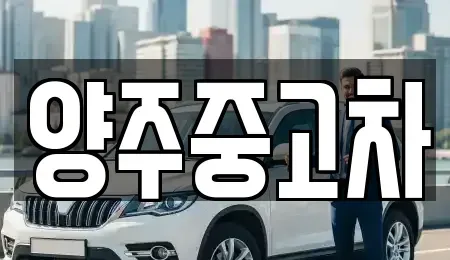 경기도 양주시 덕계동 중고차매매 전문 양주중고차