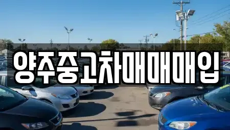 경기도 양주시 덕계동 중고차매입 전문 양주중고차매매매입