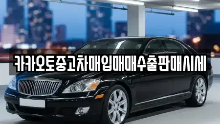 경기도 양평군 청운면 중고차매입 전문 카카오토중고차매입매매수출판매시세