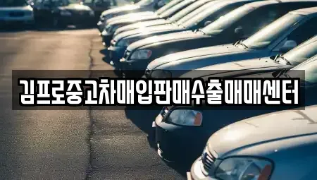경기도 여주시 하동 중고차매입 전문 김프로중고차매입판매수출매매센터