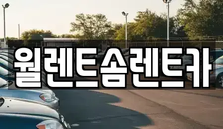 경기도 오산시 금암동 렌트카 전문 월렌트솜렌트카