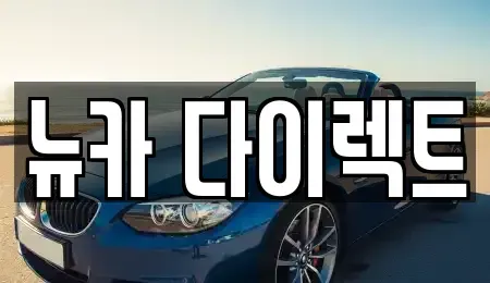 경기도 오산시 금암동 장기렌트카 전문 뉴카 다이렉트
