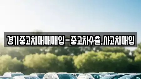 경기도 오산시 금암동 중고차매매 전문 경기중고차매매매입-중고차수출.사고차매입