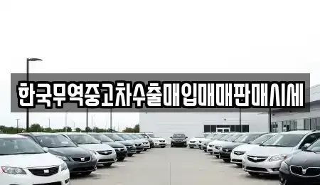 경기도 오산시 금암동 중고차매매 전문 한국무역중고차수출매입매매판매시세