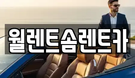 경기도 오산시 은계동 렌트카 전문 월렌트솜렌트카