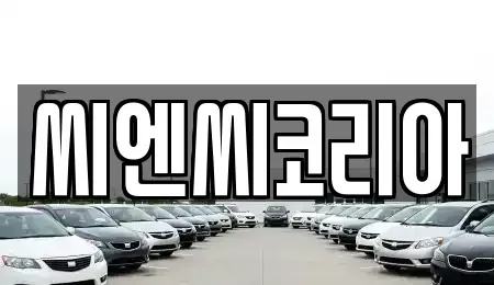 경기도 오산시 은계동 장기렌트카 전문 씨엔씨코리아