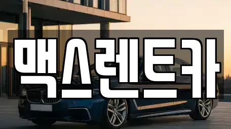 경기도 용인시 기흥구 고매동 렌트카 전문 맥스렌트카