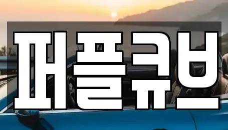 경기도 용인시 기흥구 고매동 장기렌트카 전문 퍼플큐브