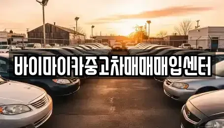 경기도 용인시 기흥구 하갈동 중고차 전문 바이마이카중고차매매매입센터