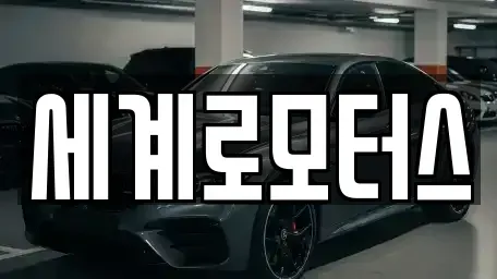 경기도 용인시 기흥구 하갈동 중고차 전문 세계로모터스