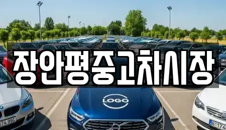 경기도 용인시 기흥구 하갈동 중고차 전문 장안평중고차시장