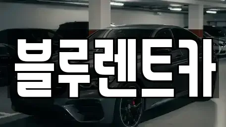 경기도 용인시 처인구 모현읍 장기렌트카 전문 블루렌트카