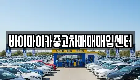 경기도 용인시 처인구 모현읍 중고차 전문 바이마이카중고차매매매입센터