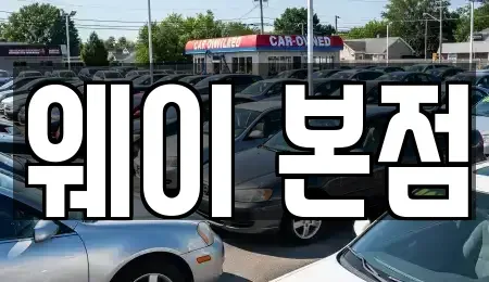 경기도 의왕시 고천동 단기렌트카 전문 웨이 본점