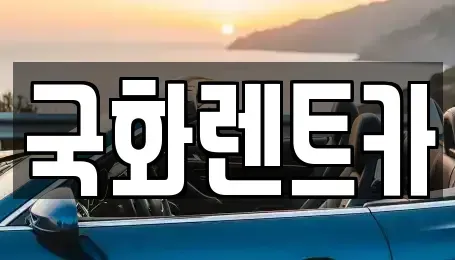 경기도 의정부시 렌트카 전문 국화렌트카