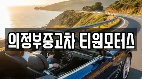 경기도 의정부시 중고차매매 전문 의정부중고차 티원모터스