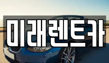 경기도 이천시 진리동 렌트카 전문 미래렌트카