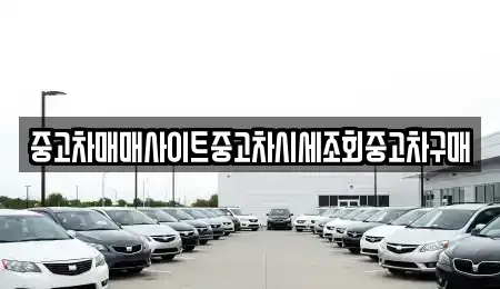 경기도 이천시 진리동 중고차매매 전문 중고차매매사이트중고차시세조회중고차구매