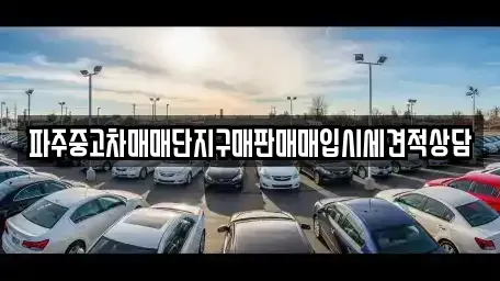 경기도 파주시 금촌동 중고차매입 전문 파주중고차매매단지구매판매매입시세견적상담