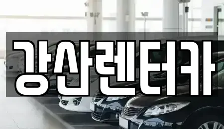 경기도 평택시 비전동 렌트카 전문 강산렌터카