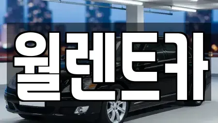 경기도 평택시 비전동 렌트카 전문 월렌트카