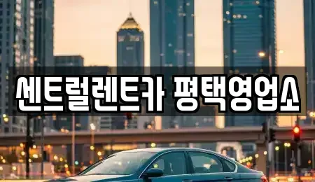 경기도 평택시 비전동 장기렌트카 전문 센트럴렌트카 평택영업소