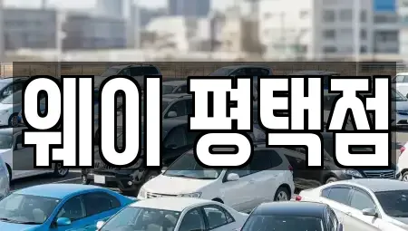 경기도 평택시 비전동 장기렌트카 전문 웨이 평택점
