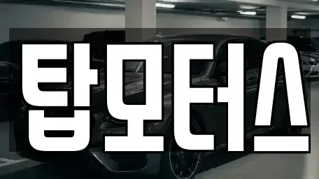 경기도 평택시 비전동 중고차 전문 탑모터스