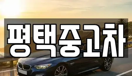 경기도 평택시 비전동 중고차 전문 평택중고차