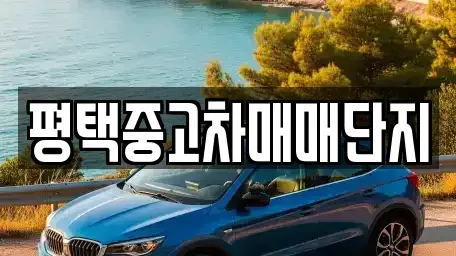 경기도 평택시 비전동 중고차 전문 평택중고차매매단지