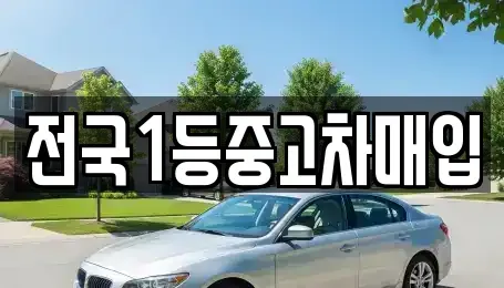 경기도 평택시 비전동 중고차매입 전문 전국1등중고차매입