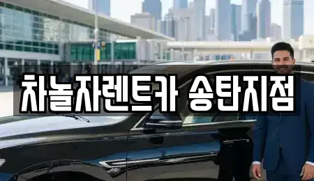 경기도 평택시 서정동 단기렌트카 전문 차놀자렌트카 송탄지점