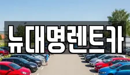 경기도 평택시 서정동 렌트카 전문 뉴대명렌트카