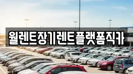 경기도 평택시 서정동 장기렌트카 전문 월렌트장기렌트플랫폼직카