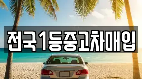 경기도 평택시 서정동 중고차매입 전문 전국1등중고차매입
