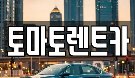 경기도 포천시 군내면 렌트카 전문 토마토렌트카