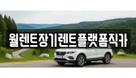 경기도 포천시 군내면 장기렌트카 전문 월렌트장기렌트플랫폼직카