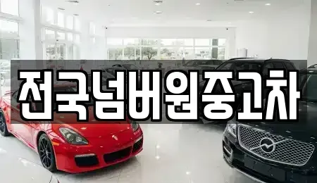 경기도 하남시 하사창동 중고차 전문 전국넘버원중고차