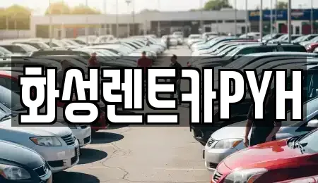 경기도 화성시 마도면 렌트카 전문 화성렌트카PYH