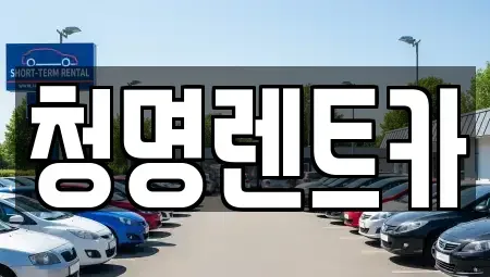 경기도 화성시 반송동 단기렌트카,중고차매입,중고차매매,중고차,렌트카,장기렌트카