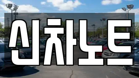 경기도 화성시 반송동 장기렌트카 전문 신차노트