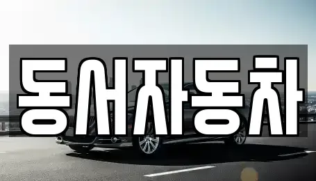 경남 거창군 웅양면 중고차 전문 동서자동차