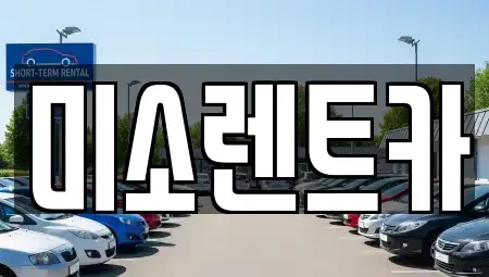 경남 김해시 강동 렌트카 전문 미소렌트카