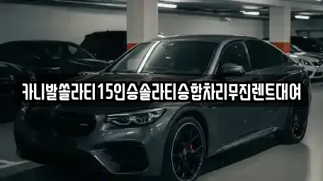 경남 김해시 강동 렌트카 전문 카니발쏠라티15인승솔라티승합차리무진렌트대여