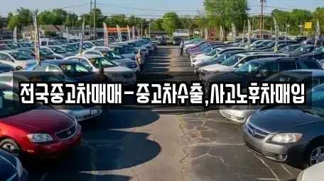 경남 김해시 강동 중고차매입 전문 전국중고차매매-중고차수출,사고노후차매입