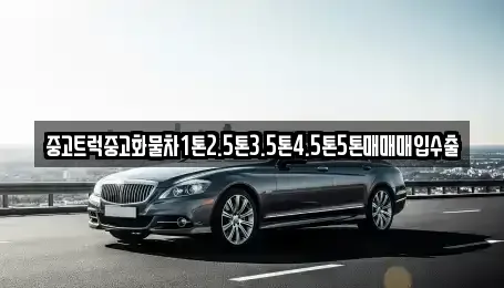 경남 김해시 흥동 중고차매입 전문 중고트럭중고화물차1톤2.5톤3.5톤4.5톤5톤매매매입수출
